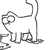 Il gatto e il nastro adesivo – Sticky Tape